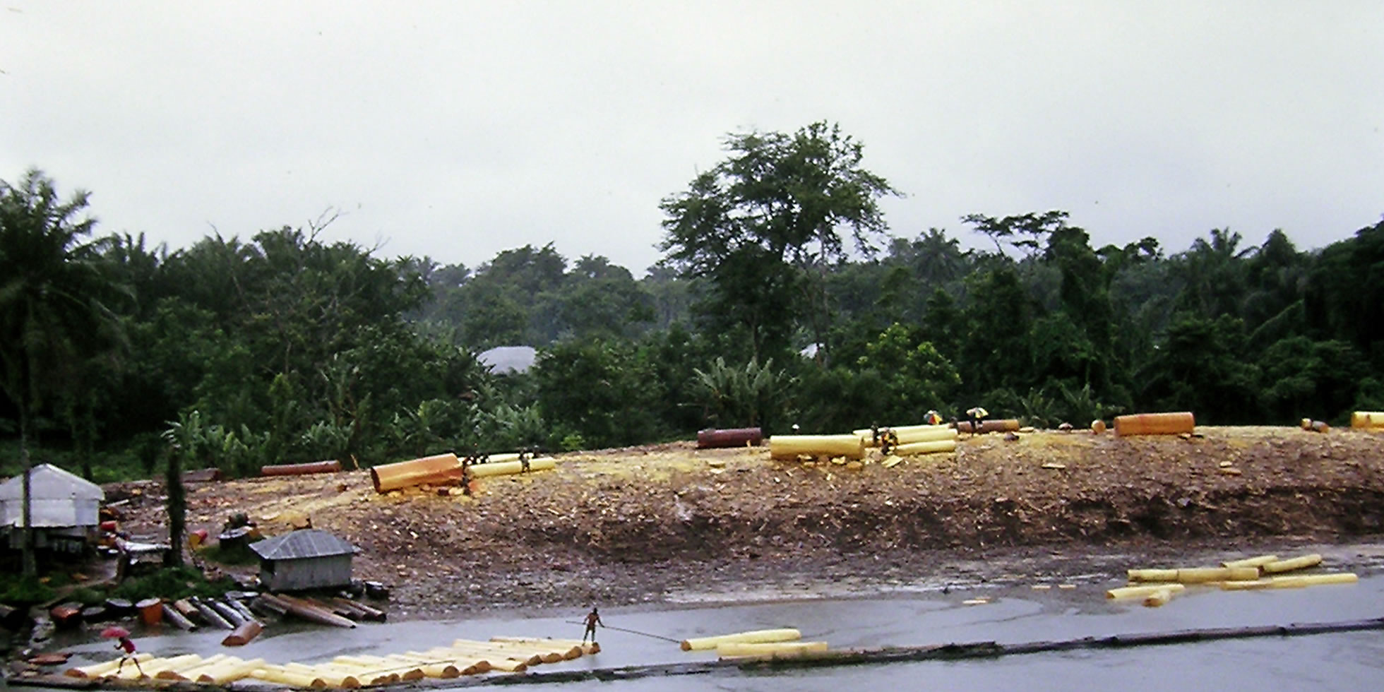 Environment, Niger Delta And Development